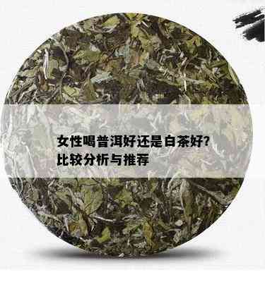 女性喝普洱好还是白茶好？比较分析与推荐