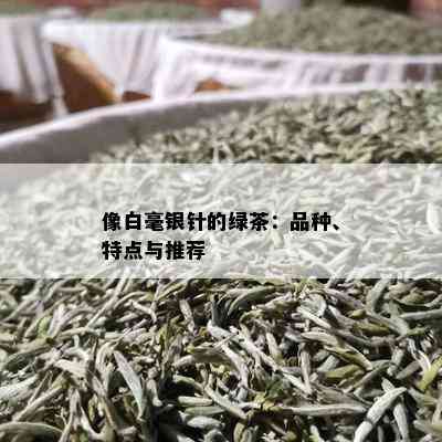 像白毫银针的绿茶：品种、特点与推荐