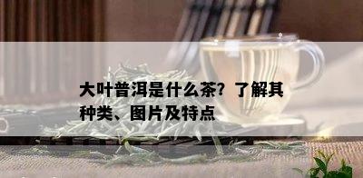 大叶普洱是什么茶？了解其种类、图片及特点