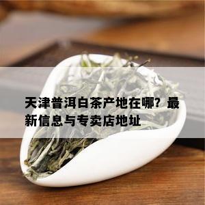 天津普洱白茶产地在哪？最新信息与专卖店地址