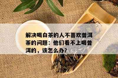 解决喝白茶的人不喜欢普洱茶的问题：他们看不上喝普洱的，该怎么办？