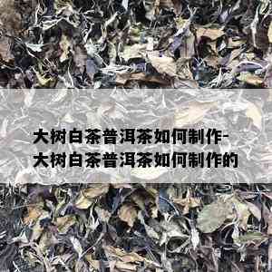 大树白茶普洱茶如何制作-大树白茶普洱茶如何制作的