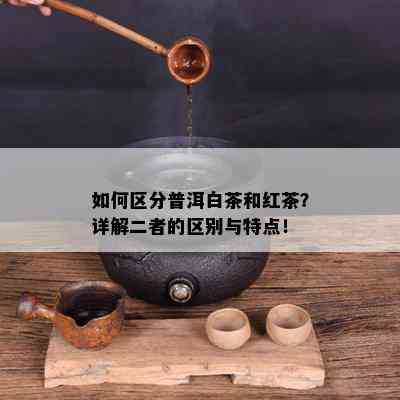 如何区分普洱白茶和红茶？详解二者的区别与特点！