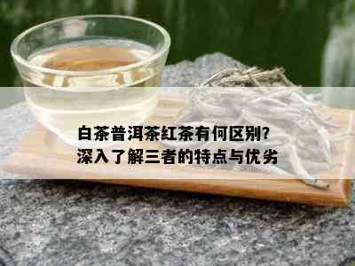 白茶普洱茶红茶有何区别？深入了解三者的特点与优劣