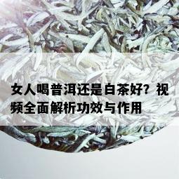 女人喝普洱还是白茶好？视频全面解析功效与作用