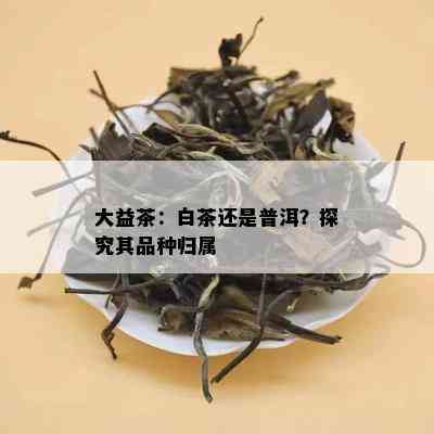 大益茶：白茶还是普洱？探究其品种归属