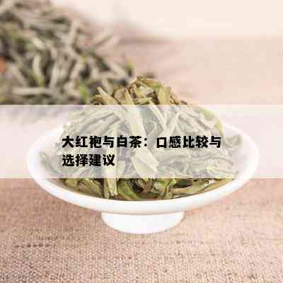 大红袍与白茶：口感比较与选择建议