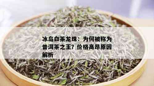 冰岛白茶龙珠：为何被称为普洱茶之王？价格高昂原因解析