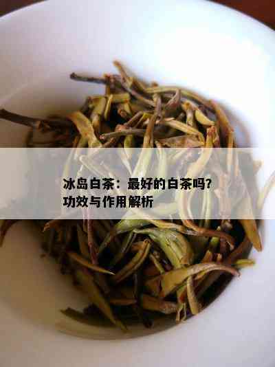 冰岛白茶：更好的白茶吗？功效与作用解析