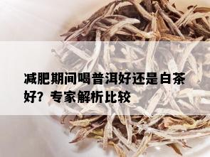 减肥期间喝普洱好还是白茶好？专家解析比较