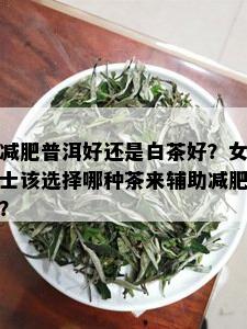 减肥普洱好还是白茶好？女士该选择哪种茶来辅助减肥？