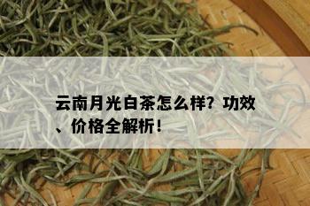 云南月光白茶怎么样？功效、价格全解析！