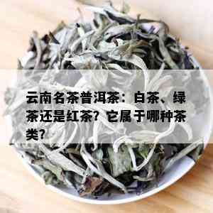 云南名茶普洱茶：白茶、绿茶还是红茶？它属于哪种茶类？