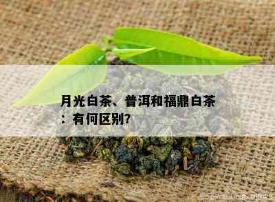 月光白茶、普洱和福鼎白茶：有何区别？