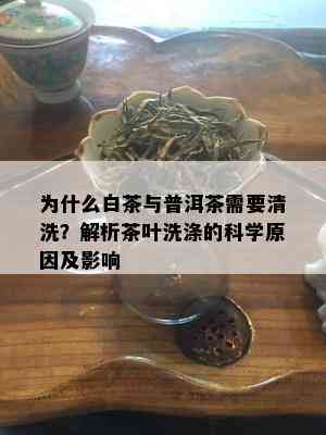 为什么白茶与普洱茶需要清洗？解析茶叶洗涤的科学原因及影响