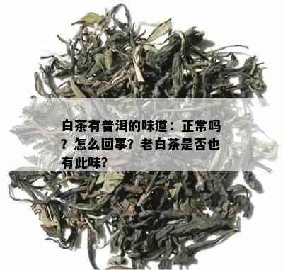 白茶有普洱的味道：正常吗？怎么回事？老白茶是否也有此味？