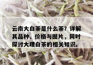 云南大白茶是什么茶？详解其品种、价格与图片，同时探讨大理白茶的相关知识。