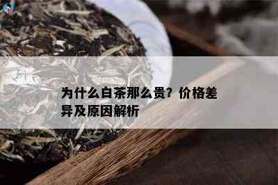 为什么白茶那么贵？价格差异及原因解析