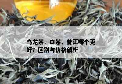 乌龙茶、白茶、普洱哪个更好？区别与价格解析