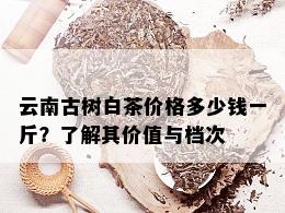 云南古树白茶价格多少钱一斤？了解其价值与档次