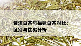 普洱白茶与福建白茶对比：区别与优劣分析