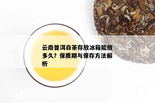 云南普洱白茶存放冰箱能放多久？保质期与保存方法解析