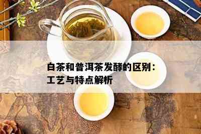 白茶和普洱茶发酵的区别：工艺与特点解析