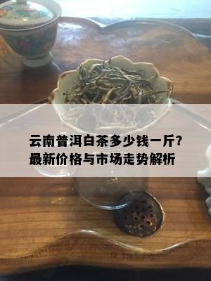 云南普洱白茶多少钱一斤？最新价格与市场走势解析