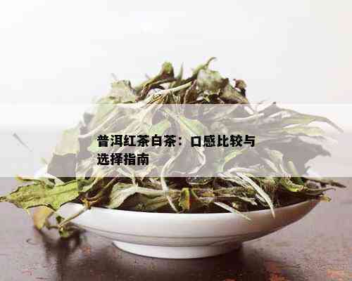 普洱红茶白茶：口感比较与选择指南