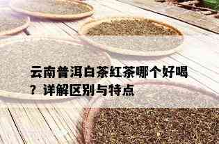 云南普洱白茶红茶哪个好喝？详解区别与特点