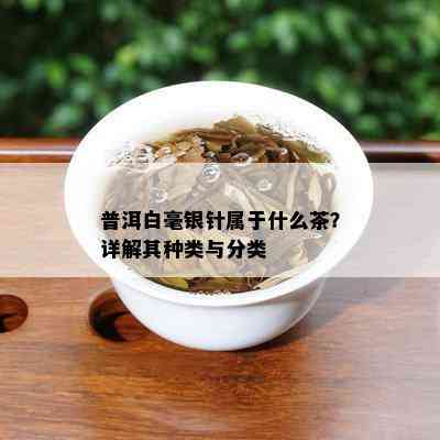 普洱白毫银针属于什么茶？详解其种类与分类