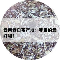 云南老白茶产地：哪里的更好喝？