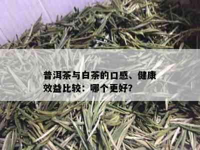 普洱茶与白茶的口感、健康效益比较：哪个更好？