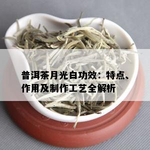 普洱茶月光白功效：特点、作用及制作工艺全解析