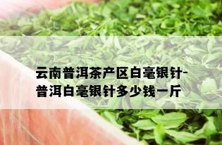 云南普洱茶产区白毫银针-普洱白毫银针多少钱一斤