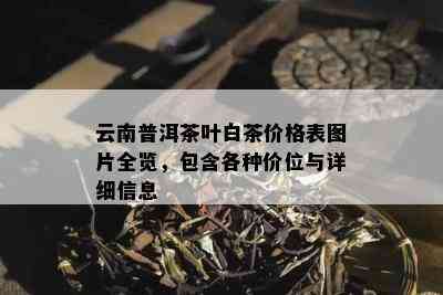 云南普洱茶叶白茶价格表图片全览，包含各种价位与详细信息