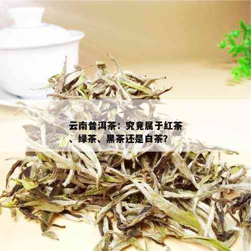 云南普洱茶：究竟属于红茶、绿茶、黑茶还是白茶？