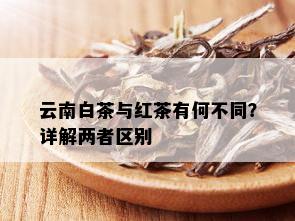 云南白茶与红茶有何不同？详解两者区别