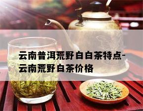 云南普洱荒野白白茶特点-云南荒野白茶价格