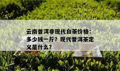 云南普洱非现代白茶价格：多少钱一斤？现代普洱茶定义是什么？