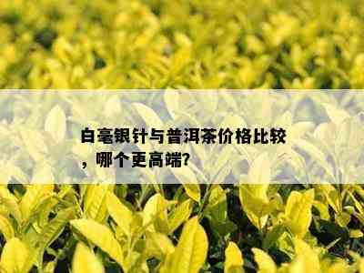 白毫银针与普洱茶价格比较，哪个更高端？