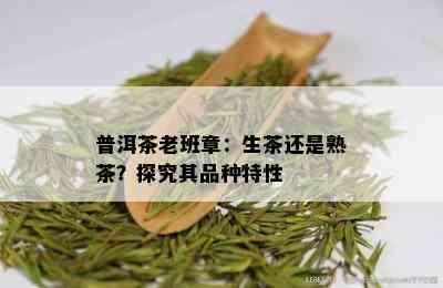 普洱茶老班章：生茶还是熟茶？探究其品种特性