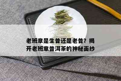 老班章是生普还是老普？揭开老班章普洱茶的神秘面纱