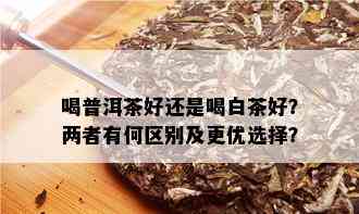 喝普洱茶好还是喝白茶好？两者有何区别及更优选择？