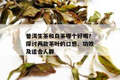 普洱生茶和白茶哪个好喝？探讨两款茶叶的口感、功效及适合人群