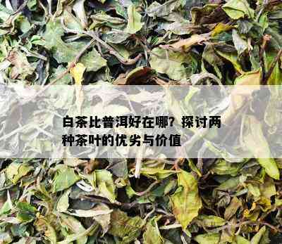 白茶比普洱好在哪？探讨两种茶叶的优劣与价值