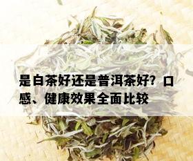 是白茶好还是普洱茶好？口感、健康效果全面比较