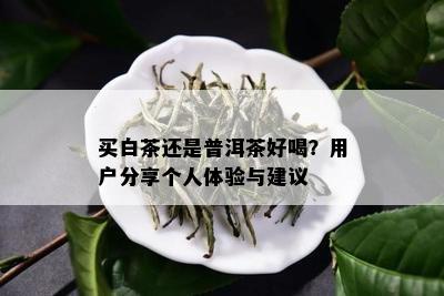 买白茶还是普洱茶好喝？用户分享个人体验与建议