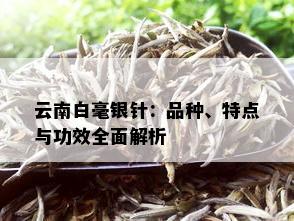 云南白毫银针：品种、特点与功效全面解析