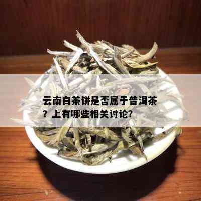 云南白茶饼是否属于普洱茶？上有哪些相关讨论？